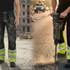 Work Trousers for Safety: Do They Make a Difference on Site?